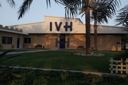 International Veterinary Hospital