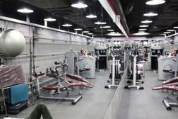 Titanium Shark Gym